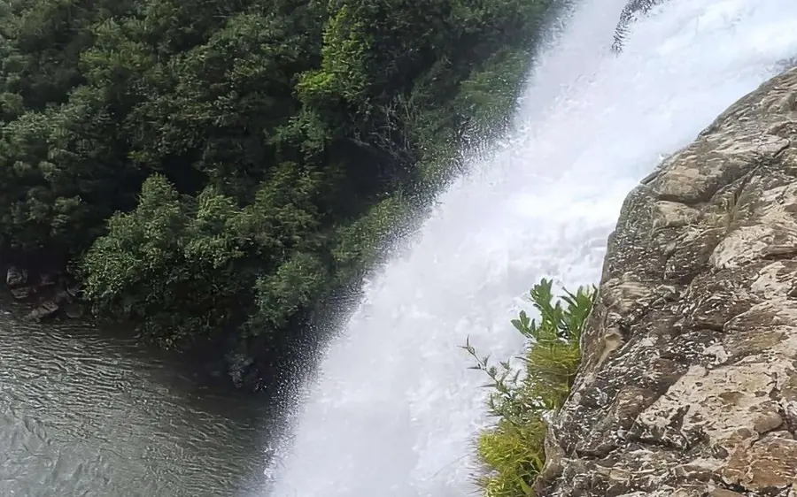 Une nappe d&rsquo;eau blanche tombant le long d&rsquo;un rebord rocheux nu dans un bassin vert sous les arbres