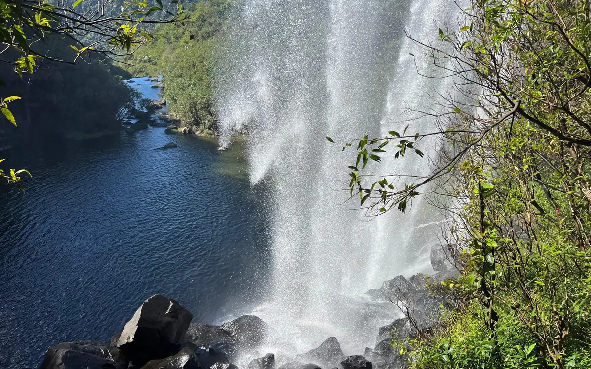 Un'ampia cortina d'acqua che cade in acqua scura e immobile, incorniciata da rami verdi e roccia nera