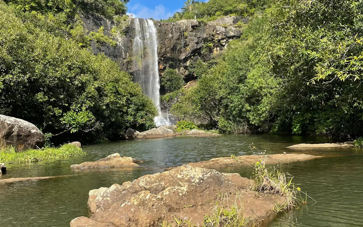 Une cascade unique tombant d'une falaise dans un large bassin vert bordé d'arbres